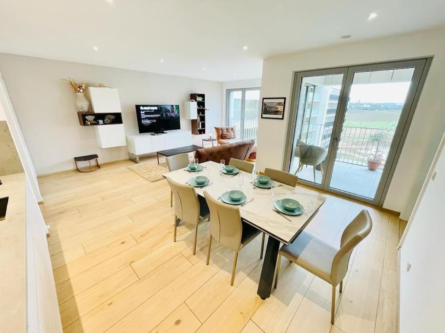 Luxury 3 Bedrooms Flat In The Heart Of Gasperich Terrace And Parking-cd2 Appartement